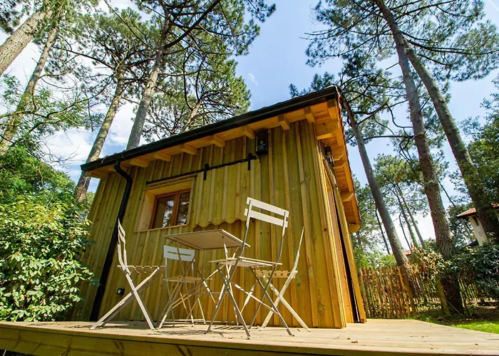 Cabane Foret Proche Plage