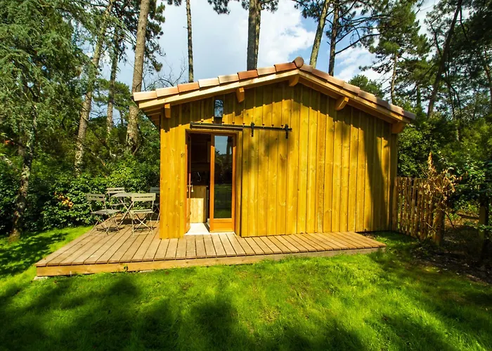 Cabane Foret Proche Plage
