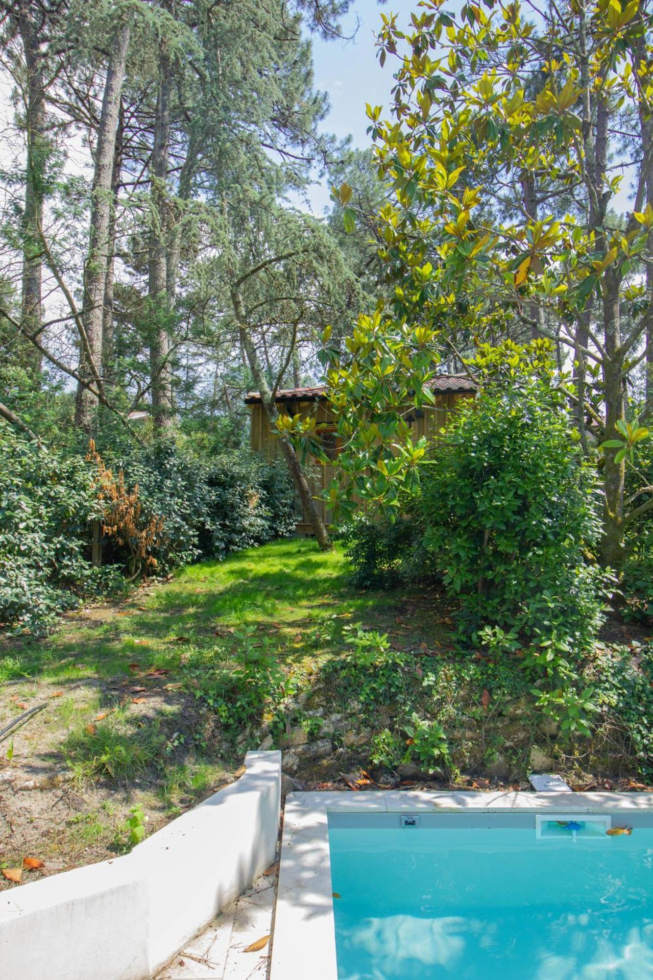 Foret Proche Pyla-sur-Mer